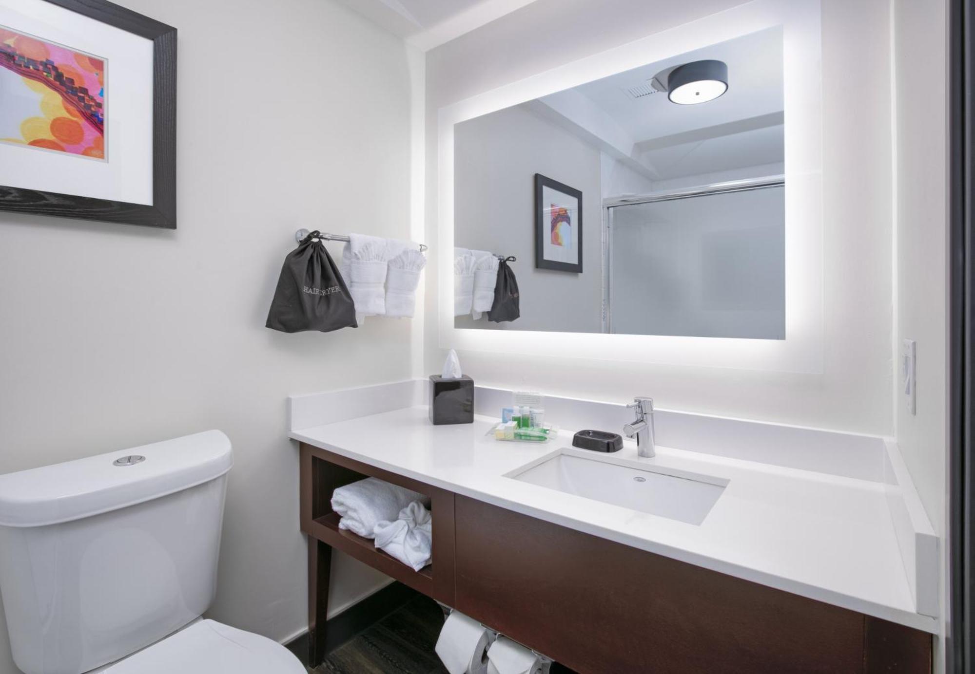 Holiday Inn Dallas - Fort Worth Airport South By Ihg Extérieur photo
